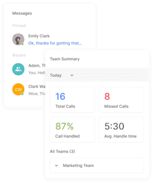 PhoneSpeak team summary user interface