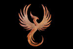 Phoenix - Big Puzzle