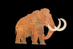Mammoth - Large Puzzle
