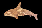 Orca - Large Puzzle