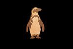 African Penguin - Medium Puzzle