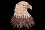 Bald Eagle - Medium Puzzle