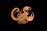 Scorpion - Medium Puzzle