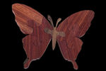 Butterfly - Small Puzzle