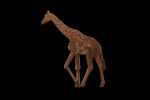 Giraffe - Small Puzzle