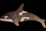 Orca - Small Puzzle