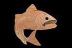 Trout - Small Puzzle