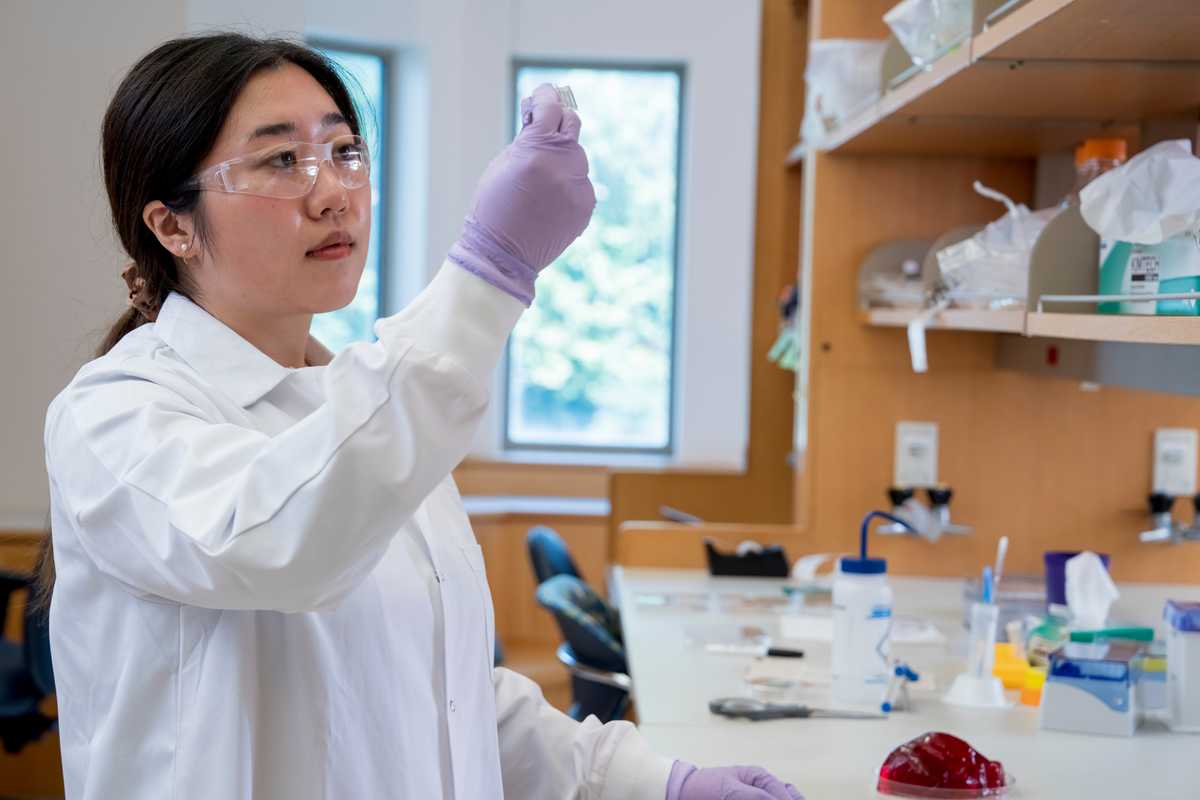 Tianran Liu, a doctoral student in the lab of Alexandra Rutz, assistant professor of biomedical engineering, created an additive manufacturing method using a 3D printer that builds bioelectronic materials from collagen and a polymer that can carry electrical signals. The collagen-based material is expected to be more compatible with living tissues than materials typically used in biomedical devices and could help lead to better medical implants, lab-grown tissue models and bioelectronic devices that interact more naturally with the body. (WashU photo) 