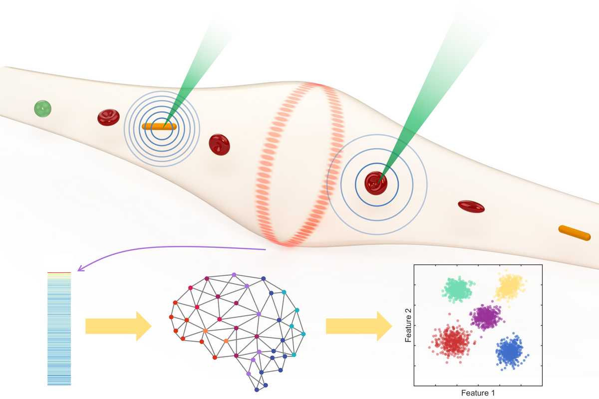 Lan Yang’s lab unlocked new capabilities for whispering-gallery-mode-based sensors by extending its sensing range beyond the immediate surface, while preserving the exceptional sensitivity that has made these sensors so powerful. This can potentially open entirely new sensing modalities and applications. (Credit: Yang lab)