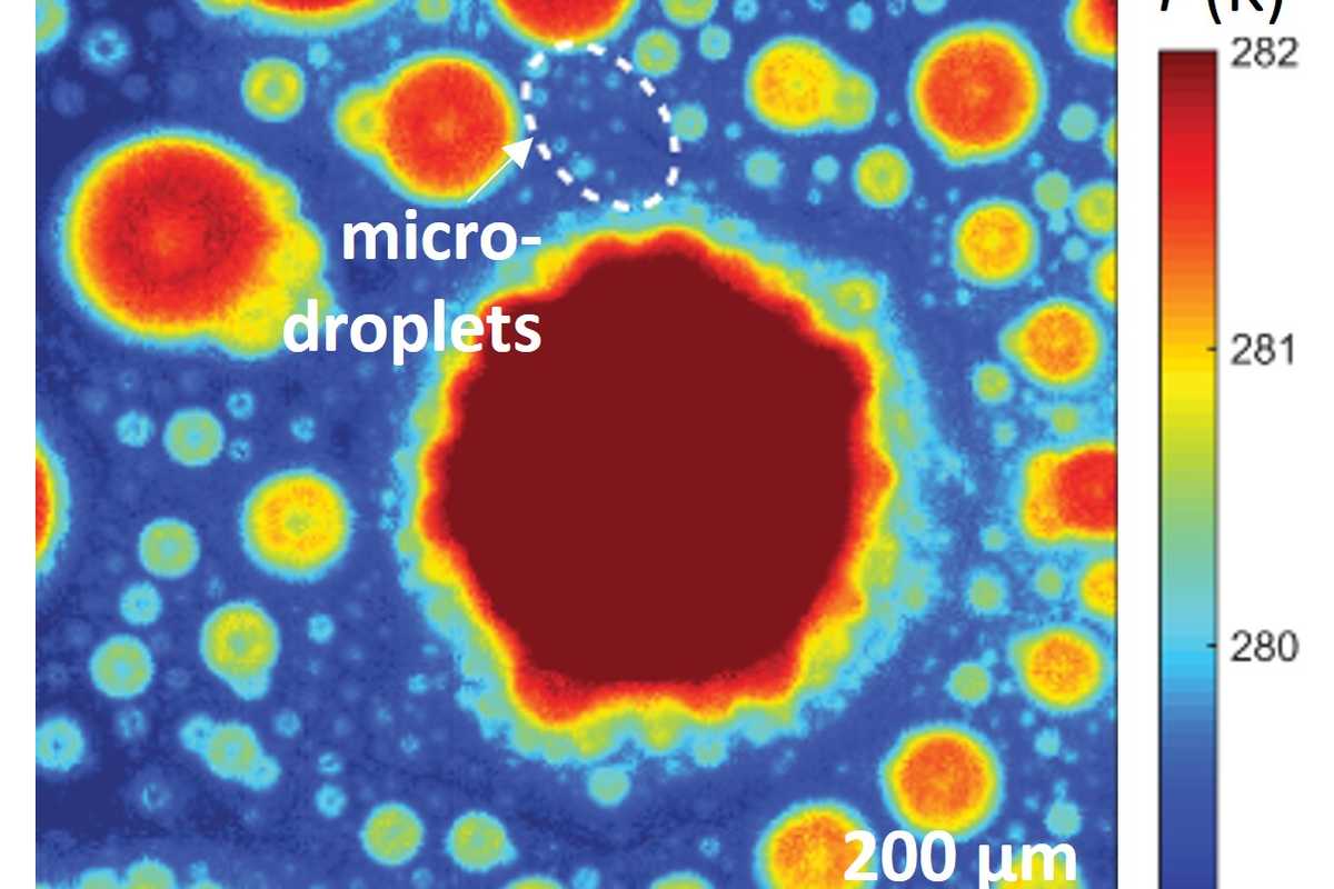 This infrared (IR) image shows the temperature distribution on a surface during condensation. (Credit: Weisensee Lab)