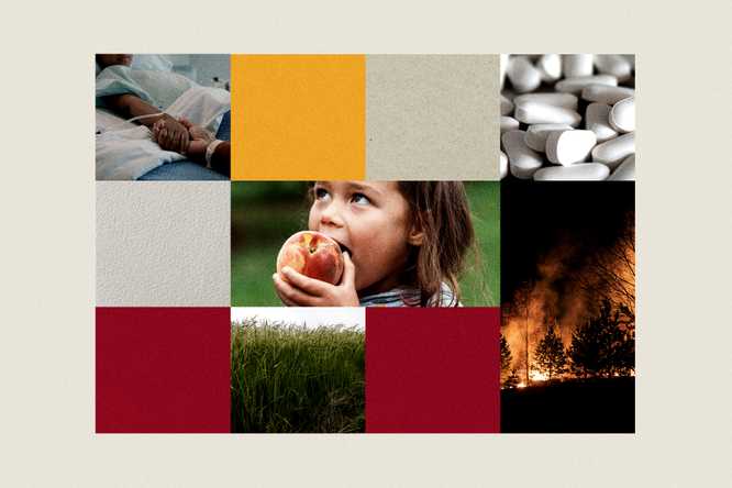 WashU's Fall 2025 Ignite Interdisciplinary Grants were awarded to researchers with projects on pressing public health problems, including studies on air pollution from wildfires, managing opioid pain relief safely, sustaining healthy eating programs, and improving outcomes for children with cancer. (Illustration: Emily May at WashU Public Health/Getty Images/Unsplash)