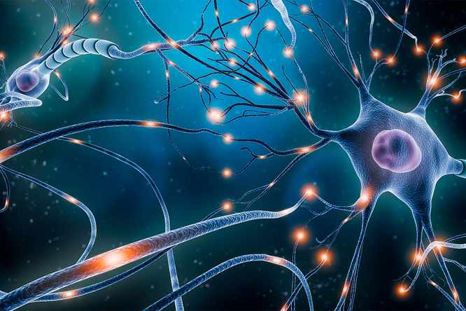 A multidisciplinary and multi-institutional team of researchers will probe brain cell dynamics with a three-year, $3.75 million Multidisciplinary University Research Initiative (MURI) grant from the Army Research Laboratory.