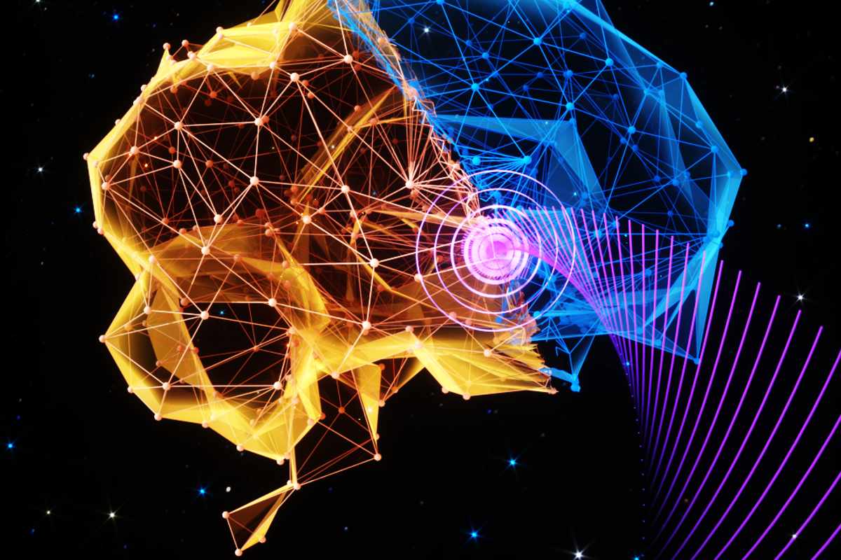  Hong Chen and a multidisciplinary team induced a torpor-like state in mice by using ultrasound to stimulate the hypothalamus preoptic area in the brain, which helps to regulate body temperature and metabolism. (Credit: Chen lab)