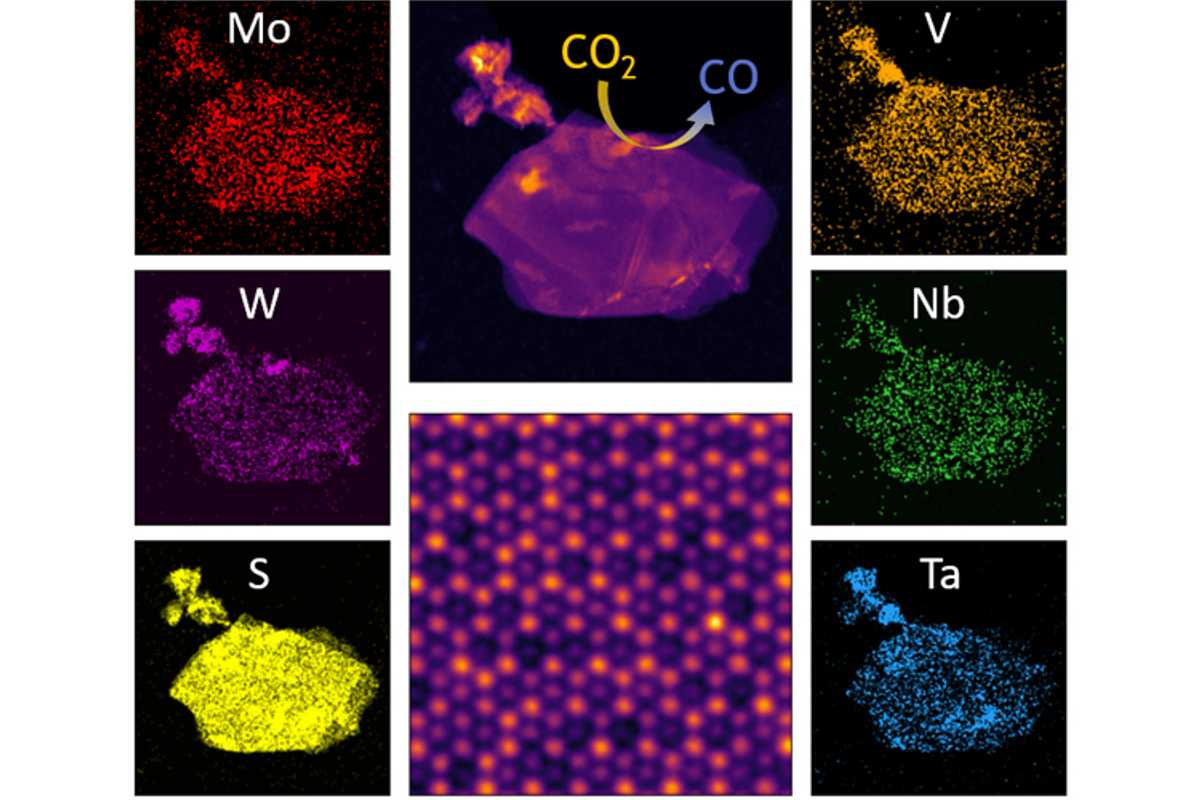 Scanning transmission electron microscope images of a high entropy transition metal dichalcogenide alloy flake in its entirety and an atom-resolved section. Monochromatic images depict the distribution of different elements. (Image: Mishra Lab)