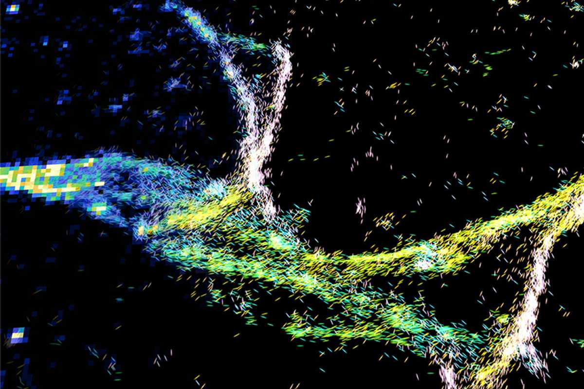 The orientations and positions of fluorescent molecules quantified by single-molecule orientation localization microscopy (SMOLM) highlight their sensing capabilities. By visualizing how Nile red transiently binds to grooves formed by crossed-beta sheets, SMOLM resolves the organization of amyloid fibers that cannot be detected by standard localization microscopy. (Credit: Lew lab)