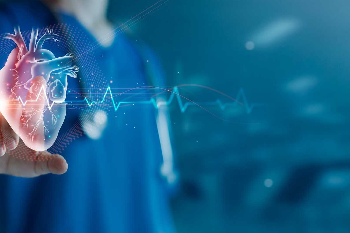 Jon Silva and Jeanne Nerbonne sought to determine how one intracellular fibroblast growth factor, iFGF12, works in a healthy human heart by observing how the iFGFs change the sodium channel at the molecular level. (iStock)