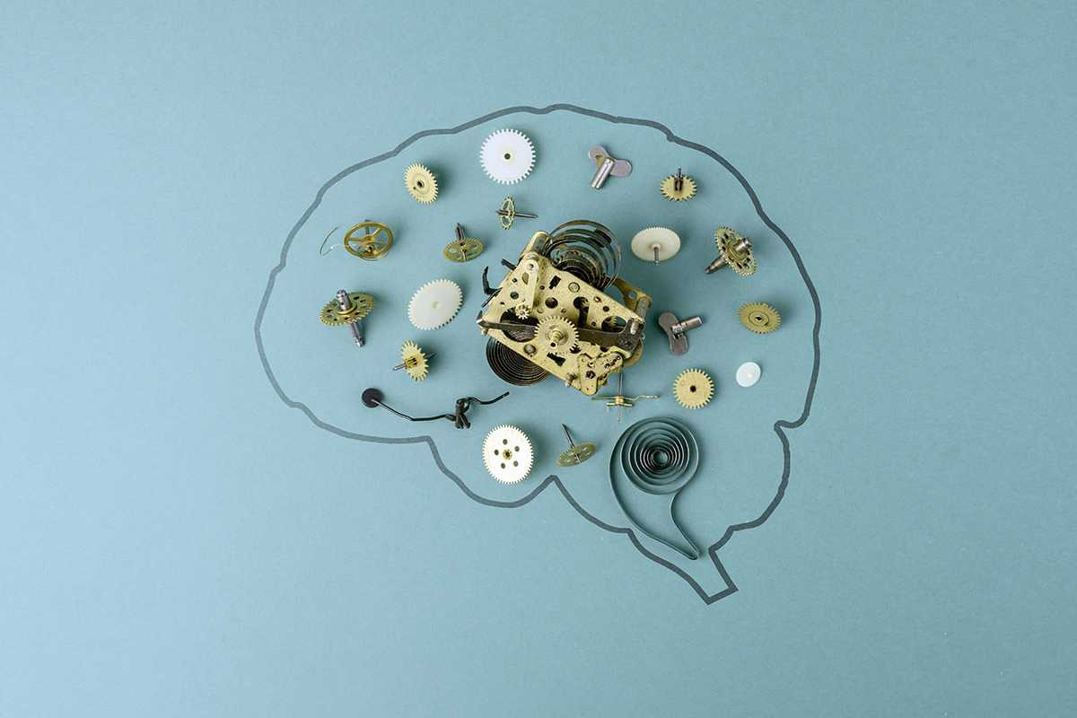 Researchers at Washington University in St. Louis find a way to better track circadian brain signals that synchronize the body clocks.