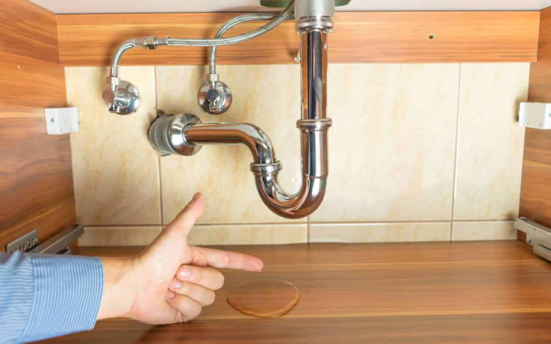 Under Sink Storage For Kitchens and Bathrooms