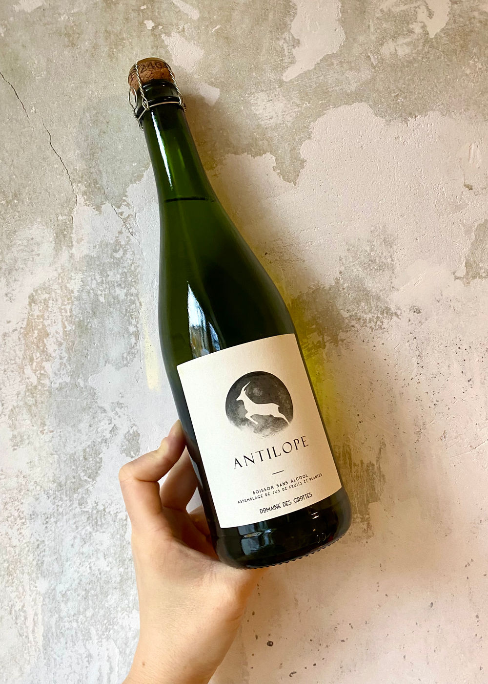 Antilope
