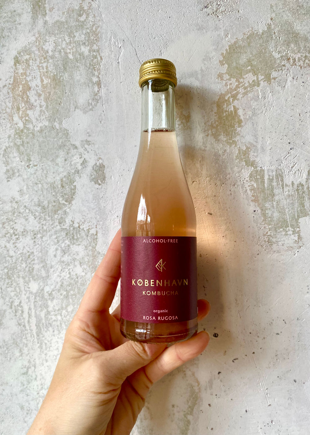 Rosa Rugosa Bio-Kombucha