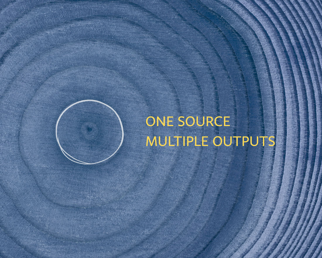 Close up of tree trunk rings_one source_multiple outputs