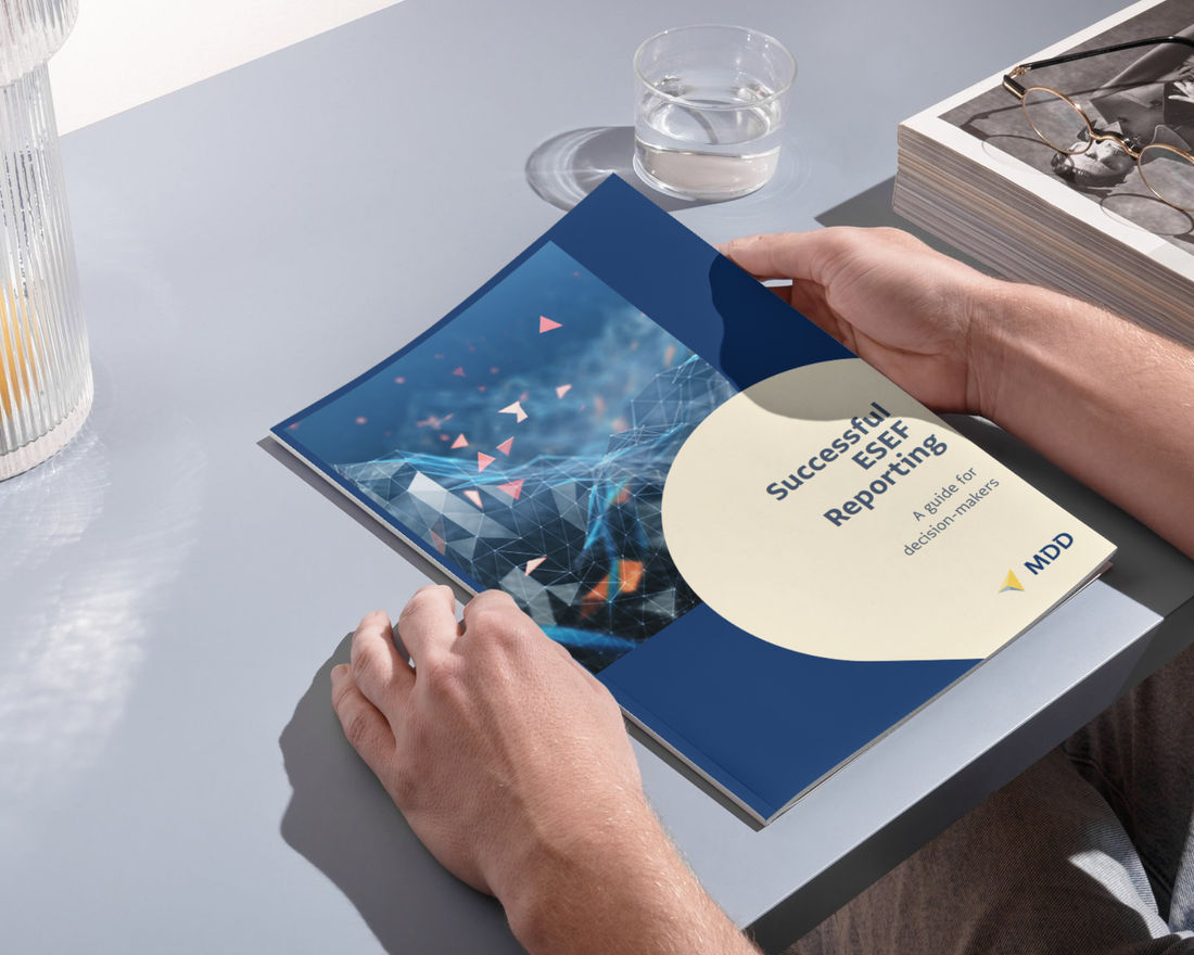 ESEF Leitfaden_Download teaser image