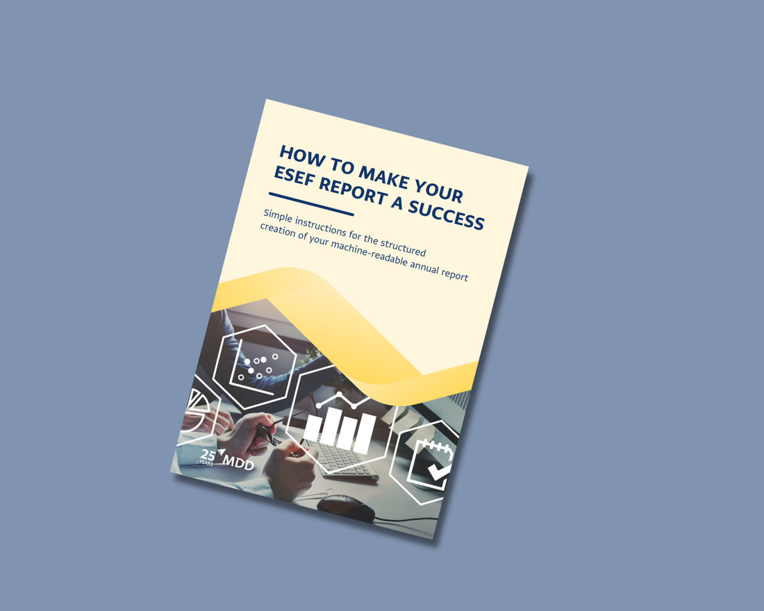 ESEF Quick Guide_EN