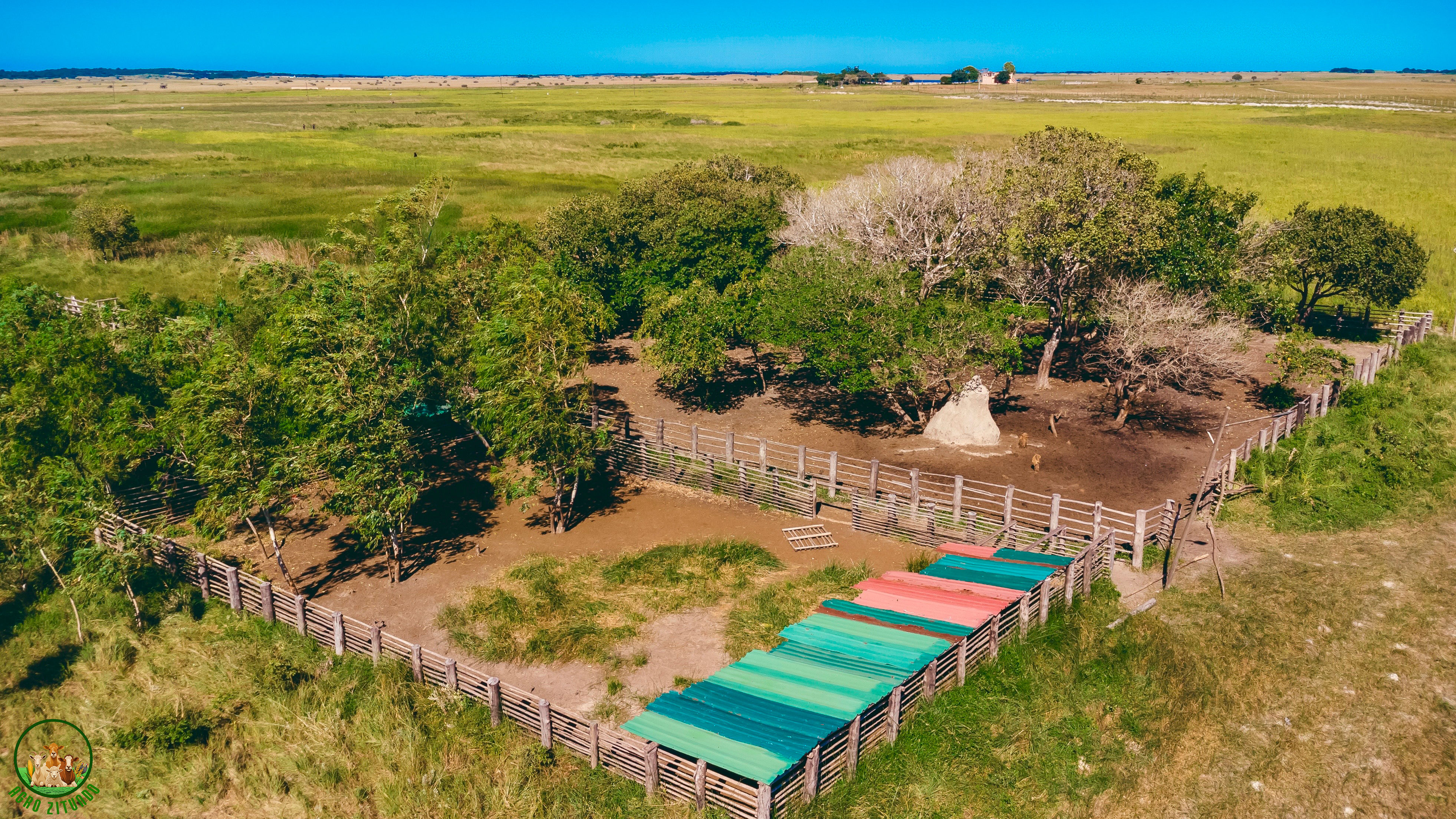 Atividade Agrícola e Pecuária