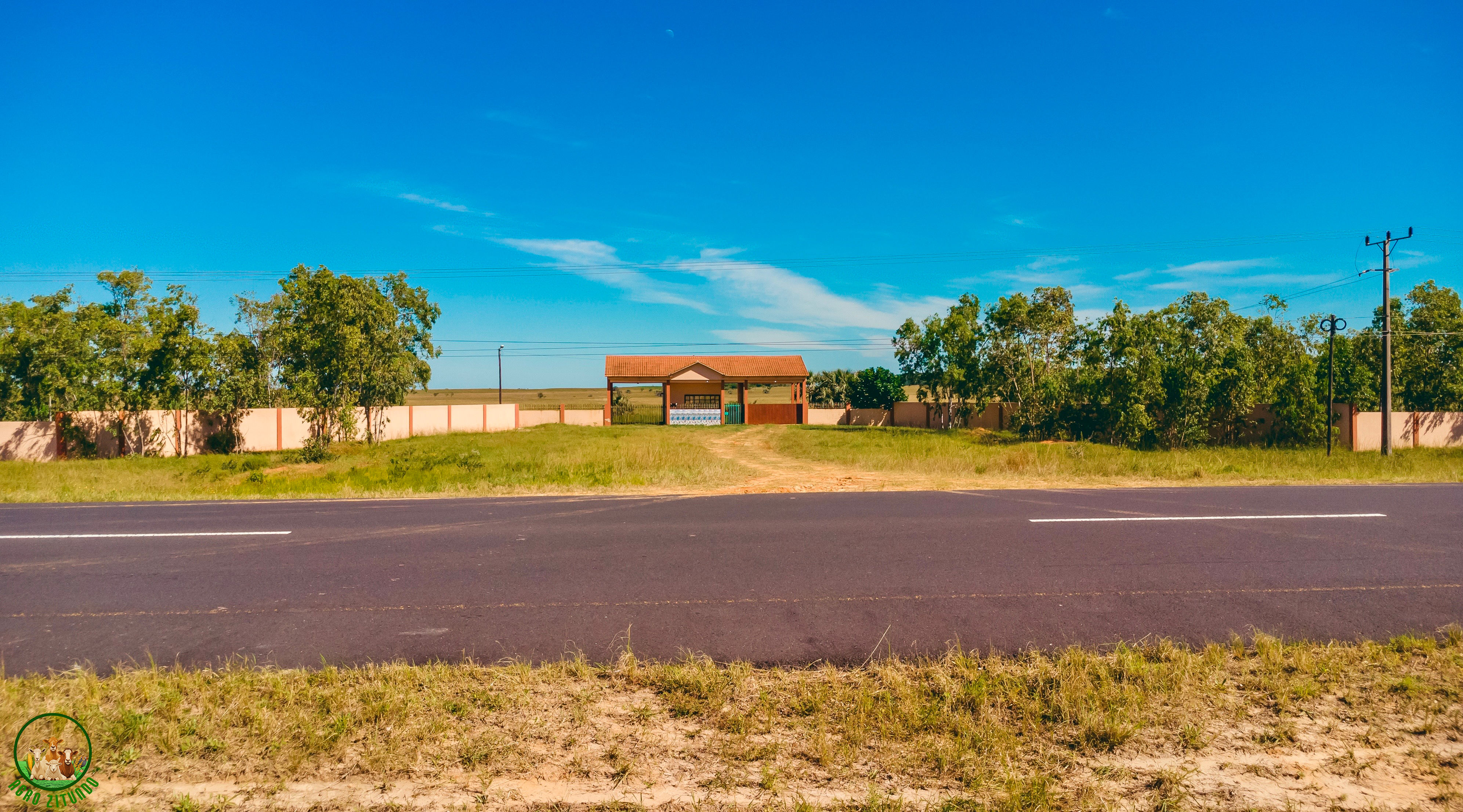 Panorâmica dos Campos de Arroz