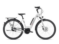 Neu 2021 Ebike Manufaktur Sonstiges Modell