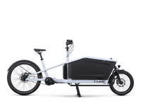 Cube Cargo Hybrid 500