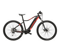 Neu 2020 Cicli Adriatica Sonstiges Modell