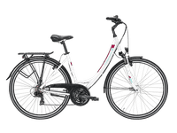 Neu 2020 Pegasus Sonstiges Modell