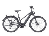 Neu 2023 Pegasus Premio EVO 10 Lite