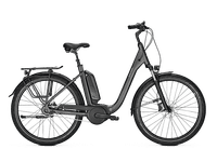 Neu 2021 Raleigh Kingston 8 XXL