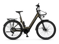 Ebike Manufaktur 13ZEHN Cross