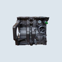 Motores Aligerados 80170 - FIESTA VII/FOCUS/TOURNEO/TRANSIT 1.0 L
