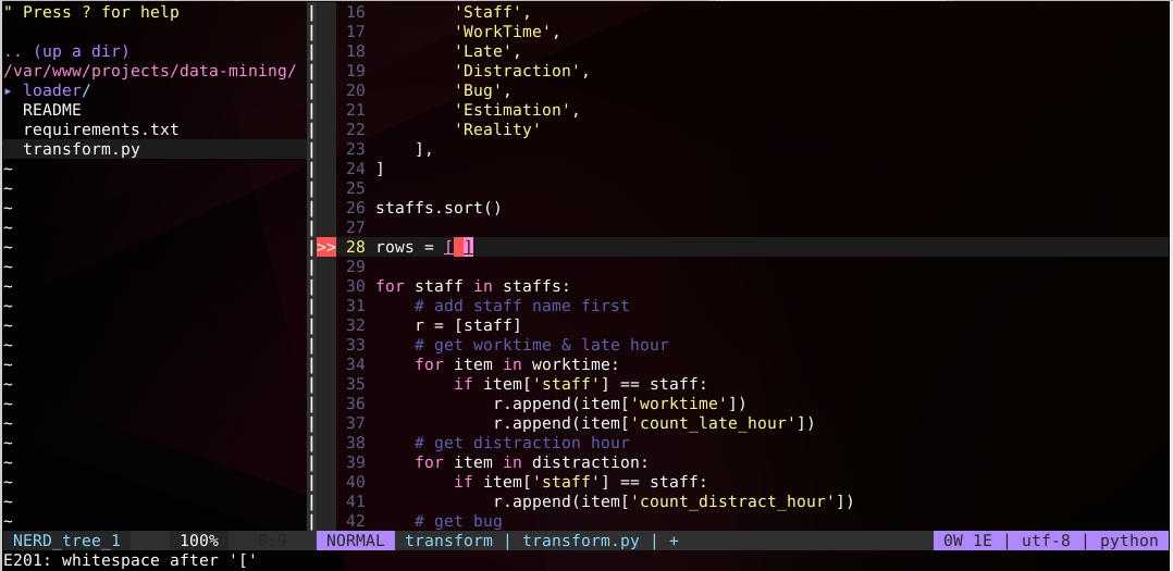 VIM - Python linting with ALE