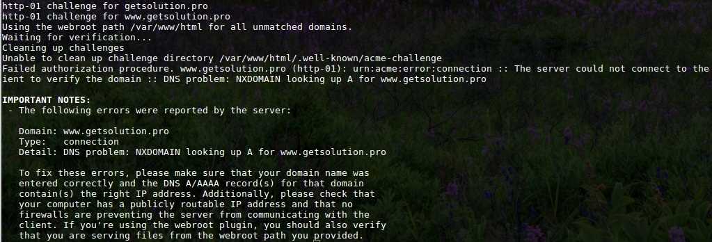 Error with www