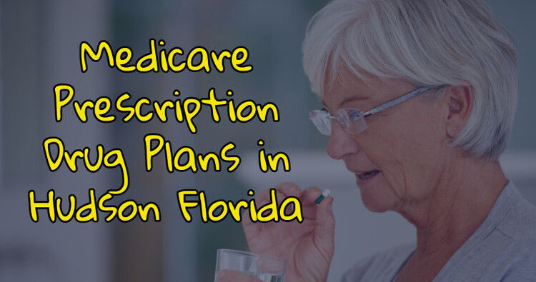 Medicare Prescription Drug Plans in Hudson Florida