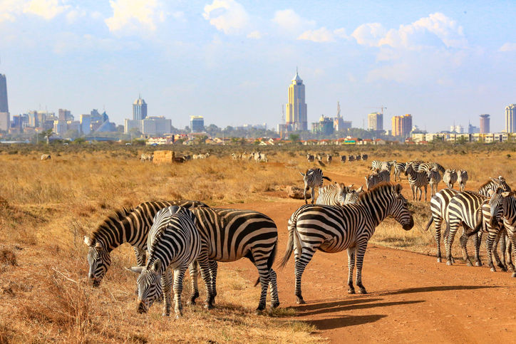 Medical Flights to or from Africa