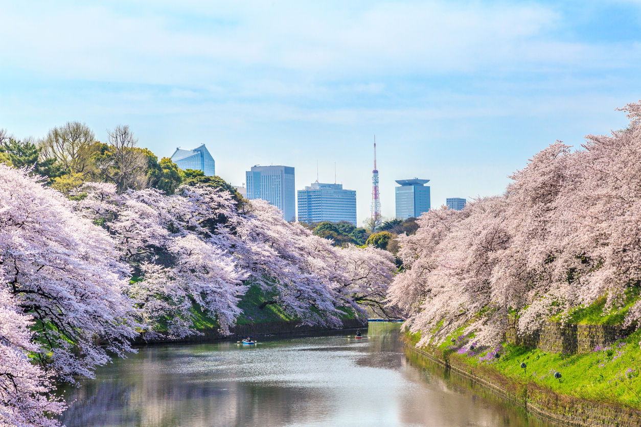 Medical flights to or from Japan