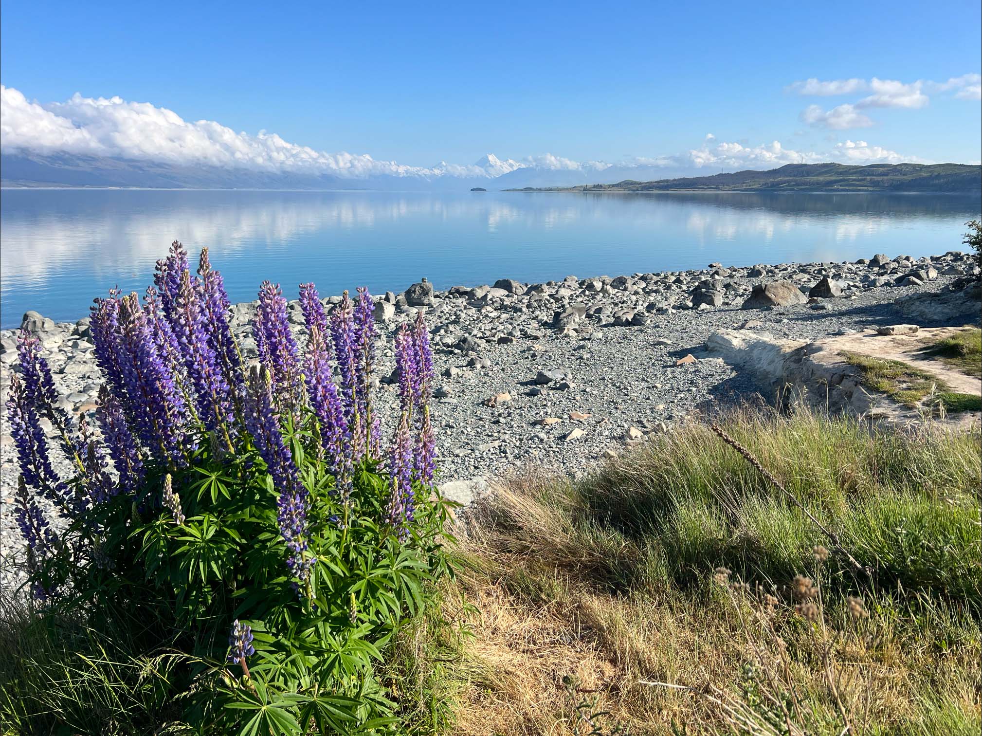 Medical flights to or from New Zealand