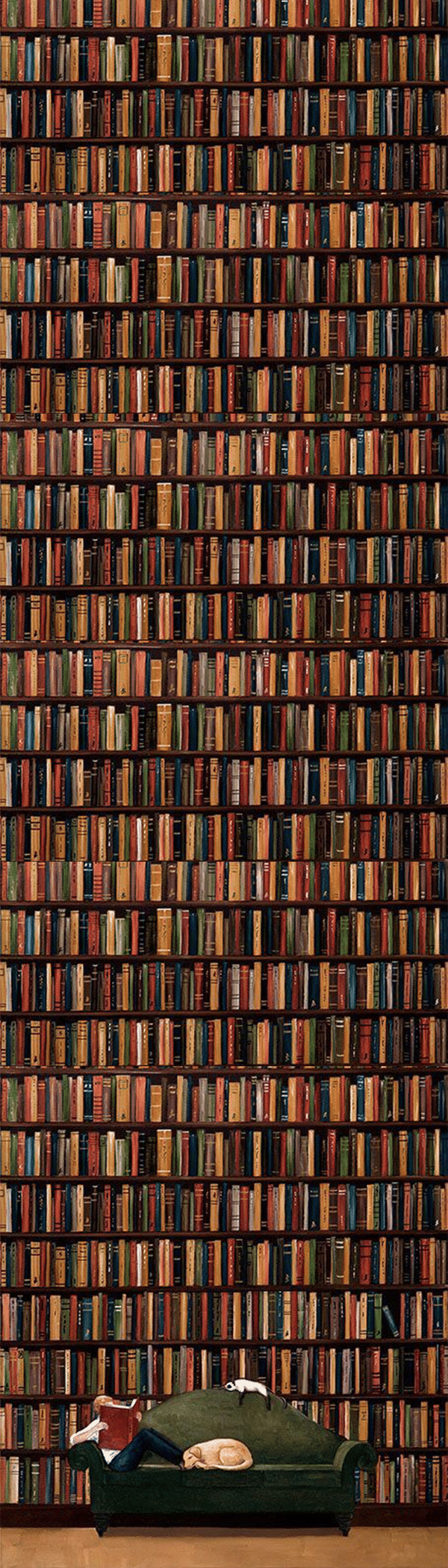 BOOKSHELF BOOKMARK 