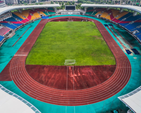 Sports Venue Business