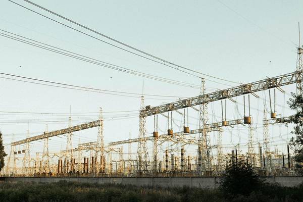 Assessing Ecological Health in San Francisco’s Utility Rights-of-Way