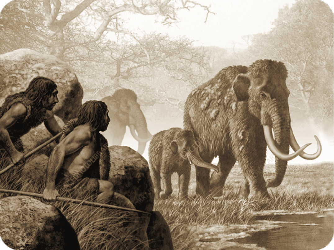 Our ancestors in nature