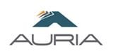 Auria Solutions GmbH