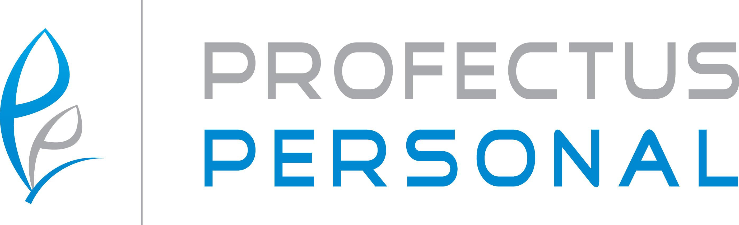 Profectus Personal GmbH