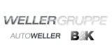 Wellergruppe Holding SE & Co. KG